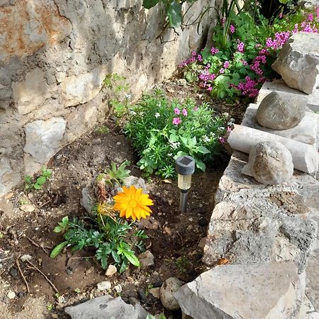 Apartmani Sanja Šibenik Quarto foto