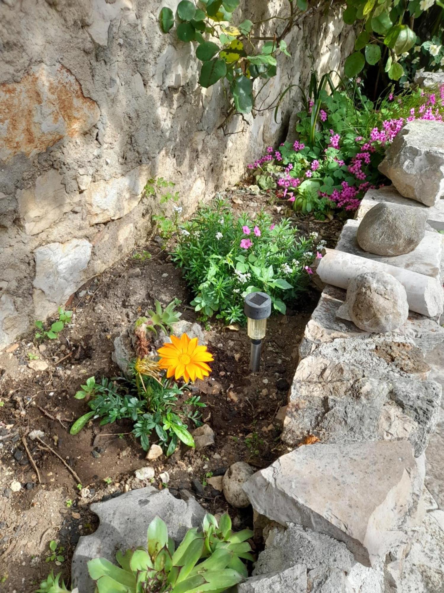 Apartmani Sanja Šibenik Quarto foto